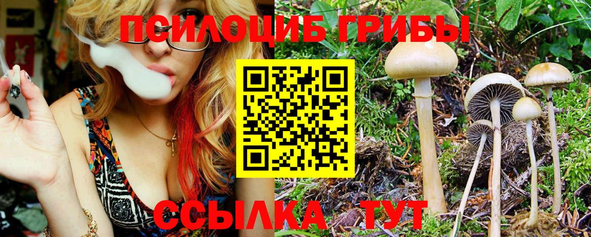 Псилоцибиновые грибы GOLDEN TEACHER  Вход с VPN  Галлюциногенные грибы Psilocybine cubensis  Нальчик 